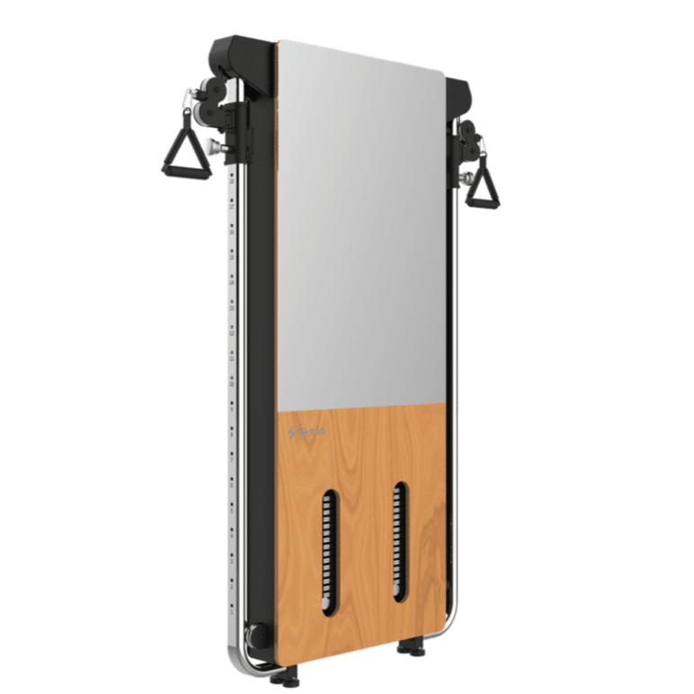 SHUA SH-G699 Wall-Mount Cable Functional Trainer – Space-Saving Home Gym