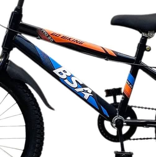 BSA, GO Biking Pro 3.0 Sporty 20'T Kids Bicycle, Green - Athletix.ae