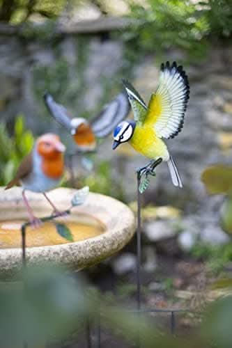 La Hacienda Blue Tit Stake