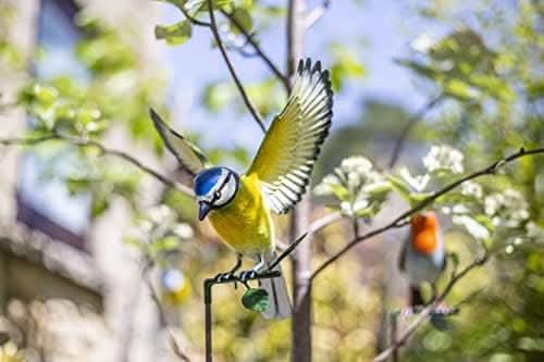 La Hacienda Blue Tit Stake