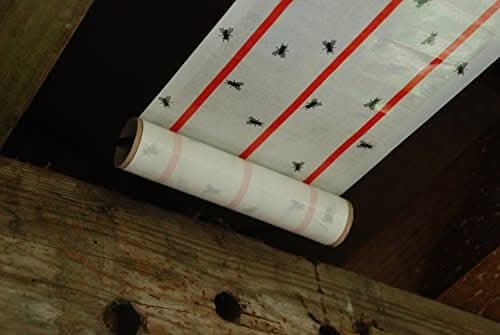 Stv, XL Sticky Fly Roll - 10M X 25cm, Mixed, Zer504, Standard
