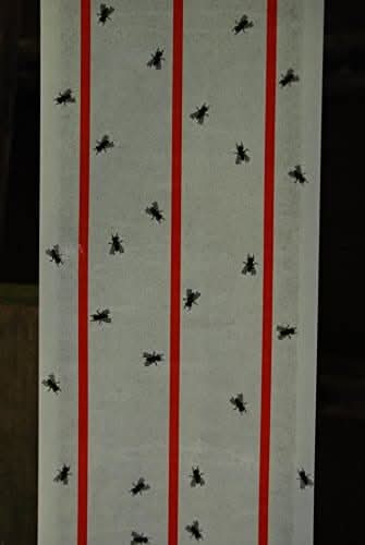 Stv, XL Sticky Fly Roll - 10M X 25cm, Mixed, Zer504, Standard
