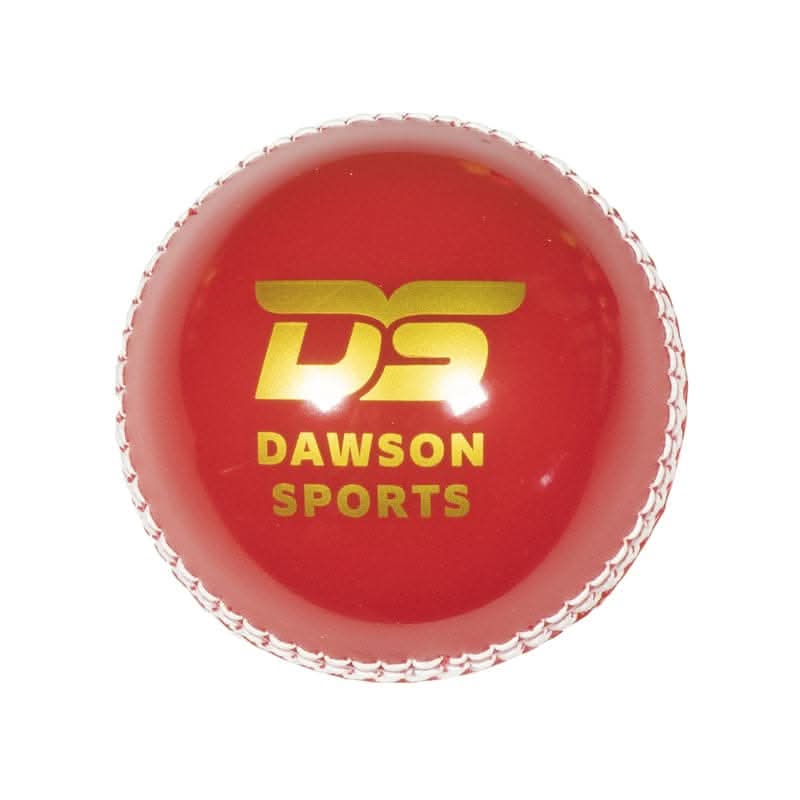 DS Incrediball PVC Cricket Ball