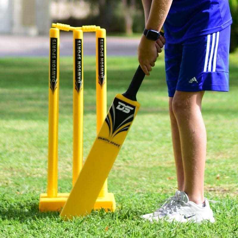 DS Cricket Set - Size 3