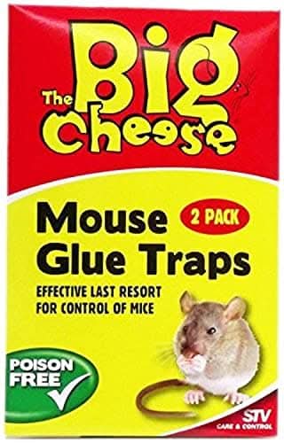 STV182 - Mouse Glue Traps - 2 Pack