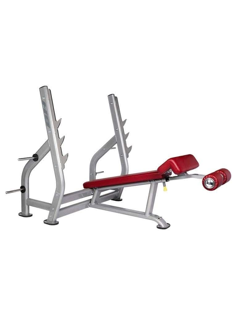 BH Fitness Decline Bench, L855 - Athletix.ae