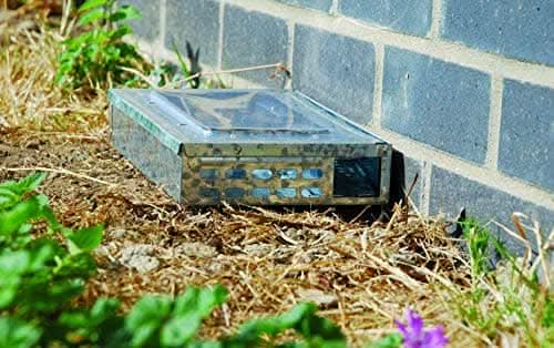 The Big Cheese Ultra Power Live Multi-Catch Mouse Trap