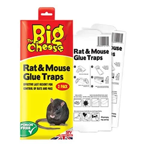 Rat & Mouse Glue Traps - 2 Pack