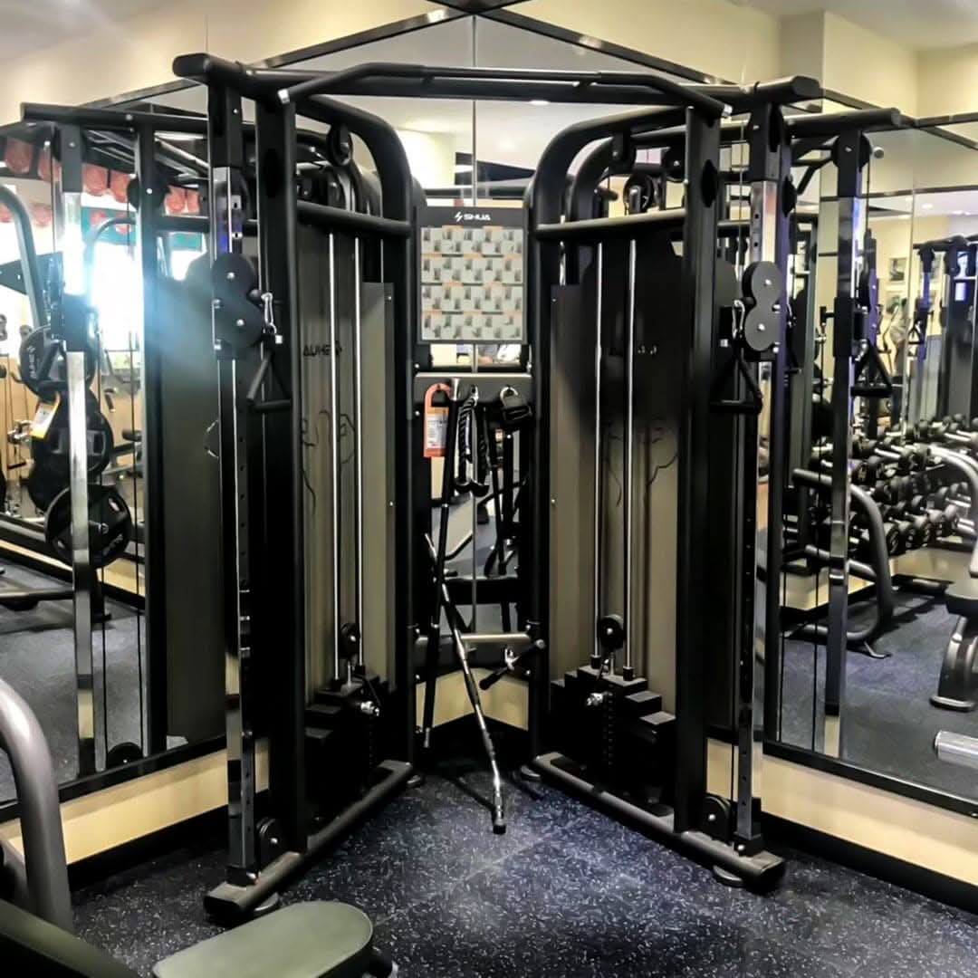 SHUA, Dual Adjustable Pulley SH-G6820-T18, Black Silver & Flash silver, black ash