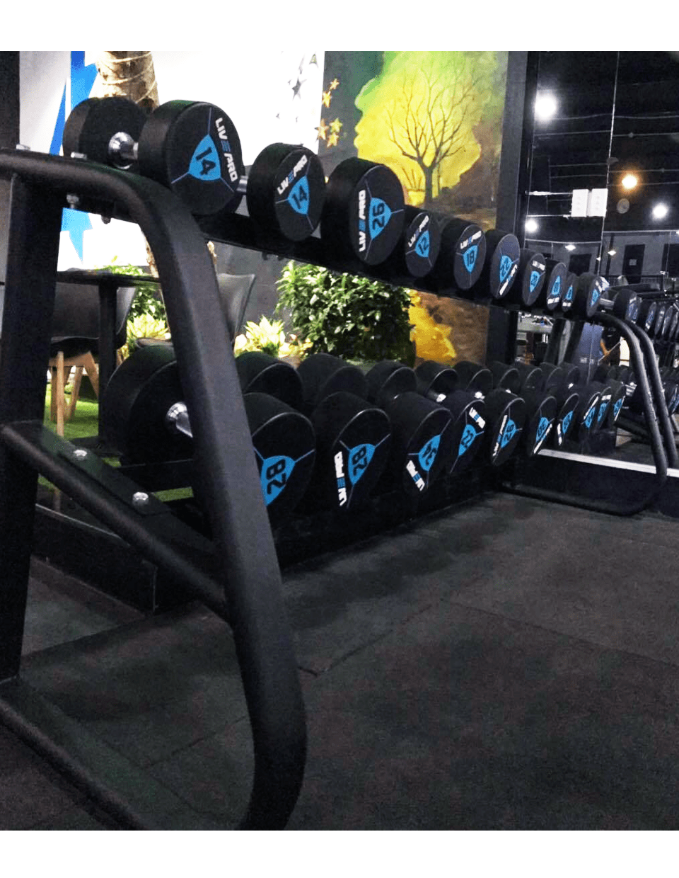 LivePro 10 Pairs Dumbbell Rack