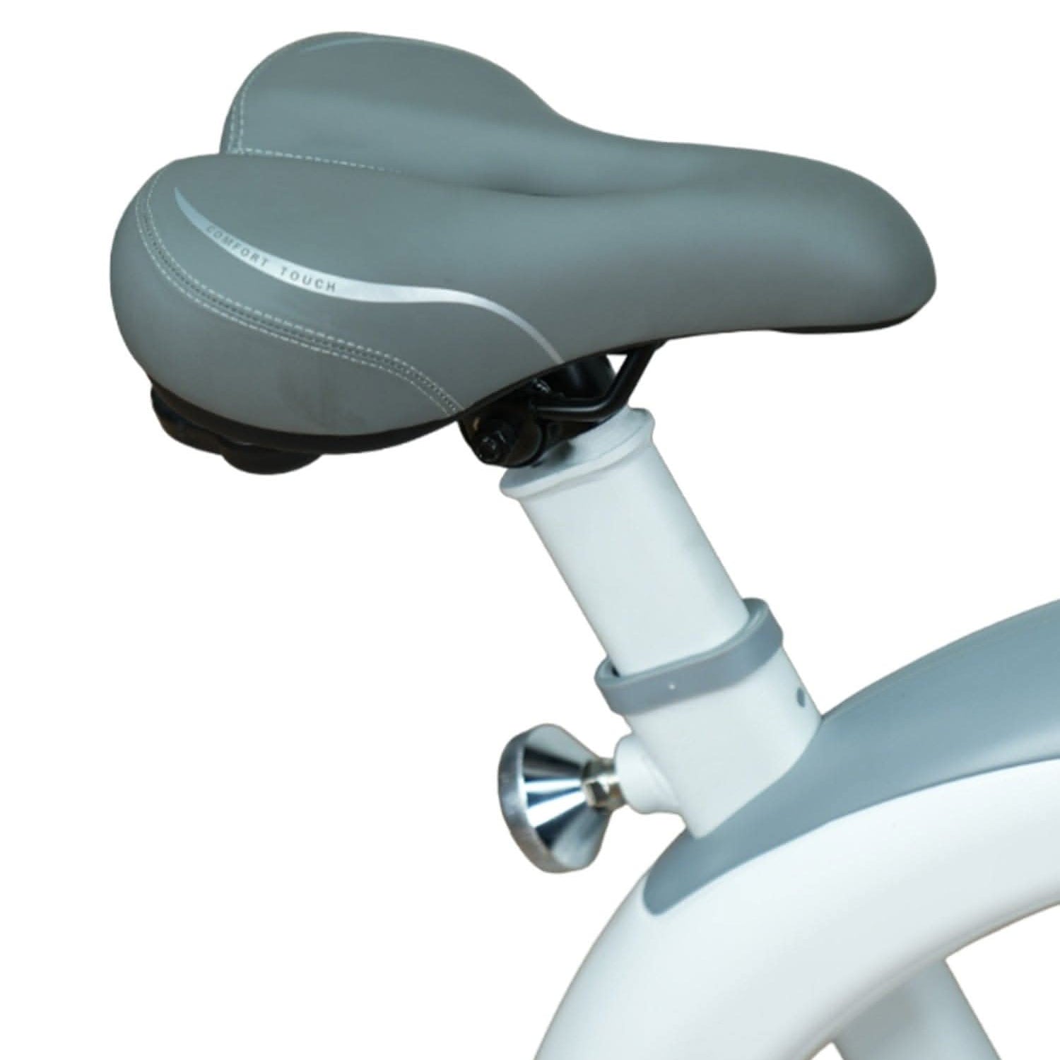 Harley Fitness Dynamic Indoor Exercise Bike