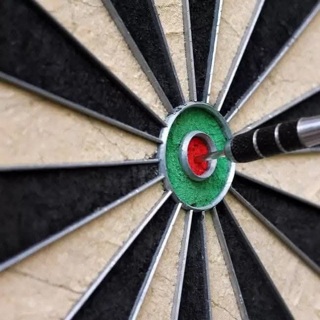 Harley Fitness Bristle Professional Dartboard with 6 Darts