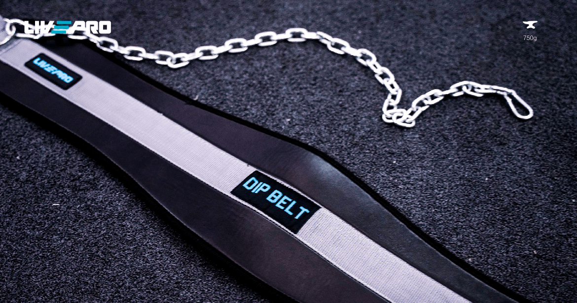 LivePro Dipping Belt With Chain - Athletix.ae