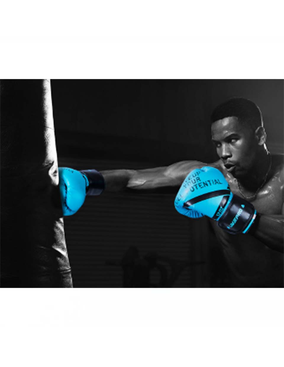 LivePro Sparring Gloves - Athletix.ae