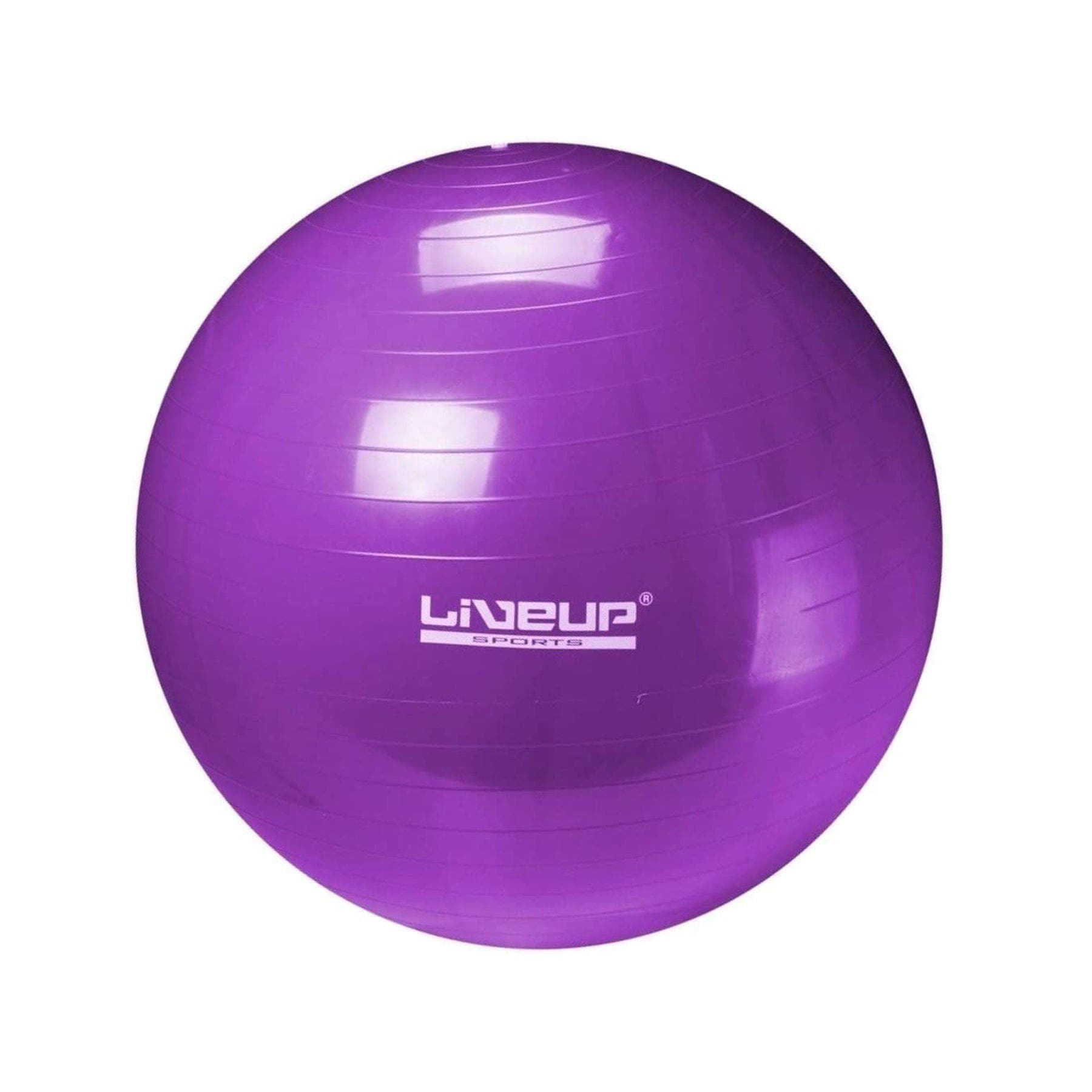 LiveUp Anti Burst Gym Ball 65 CM - LS3222 - Athletix.ae
