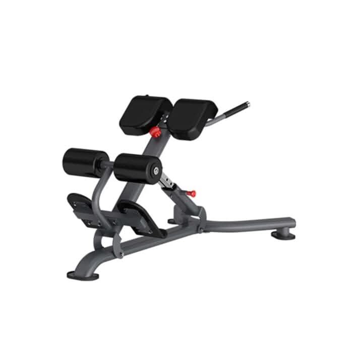 Insight Fitness Back Extension Machine DR010B – Grey | Lower Back & Core Trainer