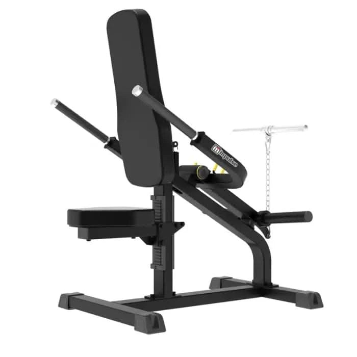 Impulse Fitness Biceps / Triceps – Dual Arm Curl & Extension Training Machine (Black)