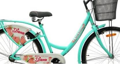 BSA, Lady Bird Diana 26 T Girls Cycle/Womens Cycle, Green