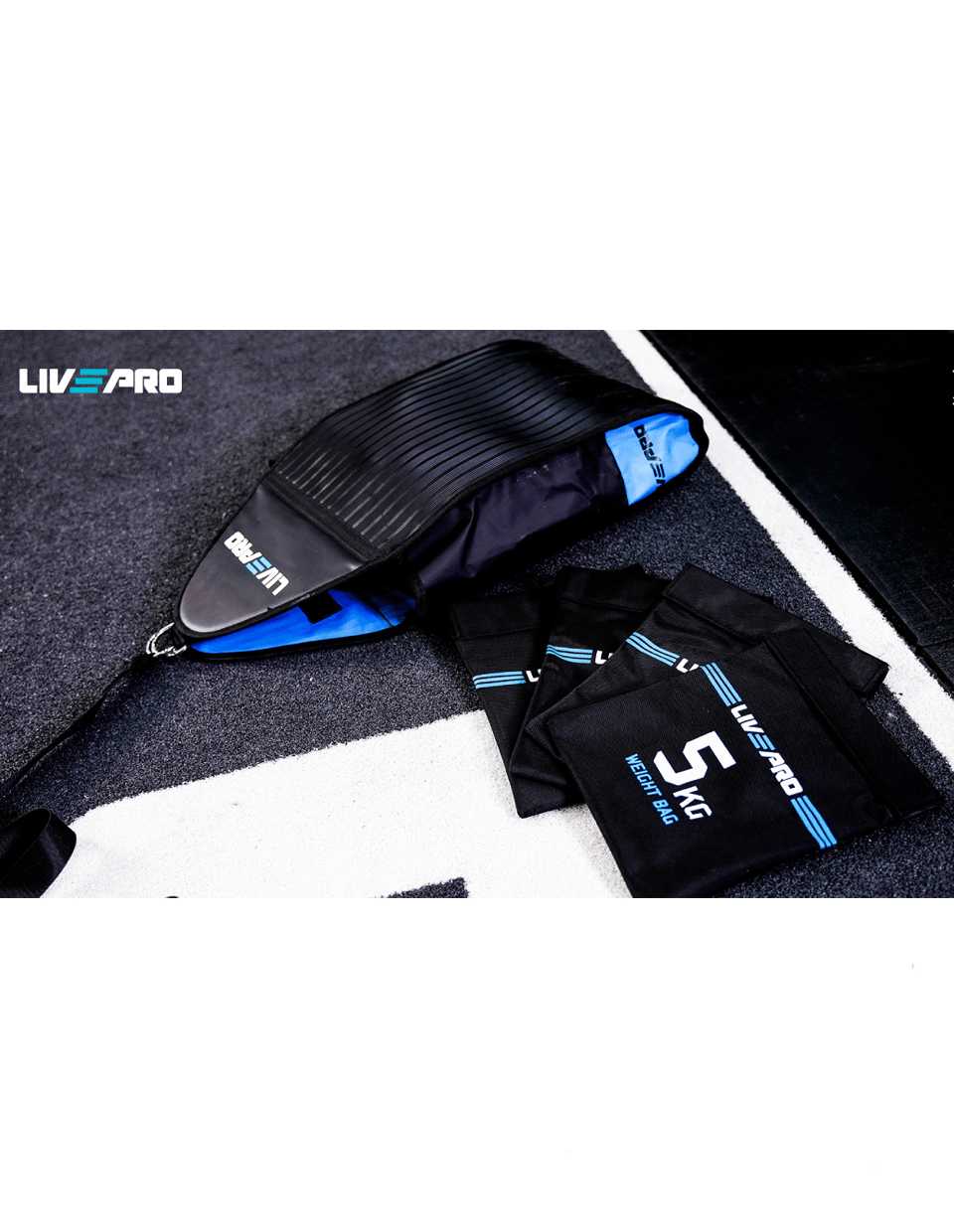 LivePro Speed Bag - Athletix.ae