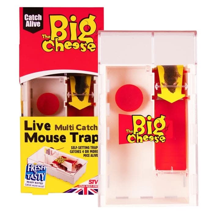 STV Live Multi-Catch Mouse Trap