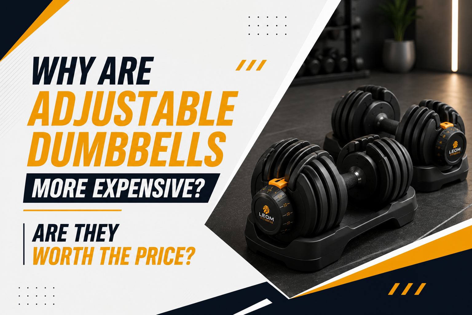 Why Are Adjustable Dumbbells More Expensive? Are They Worth the Price?