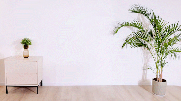 Kingsmith Z1R Foldable WalkingPad Treadmill With Handrail