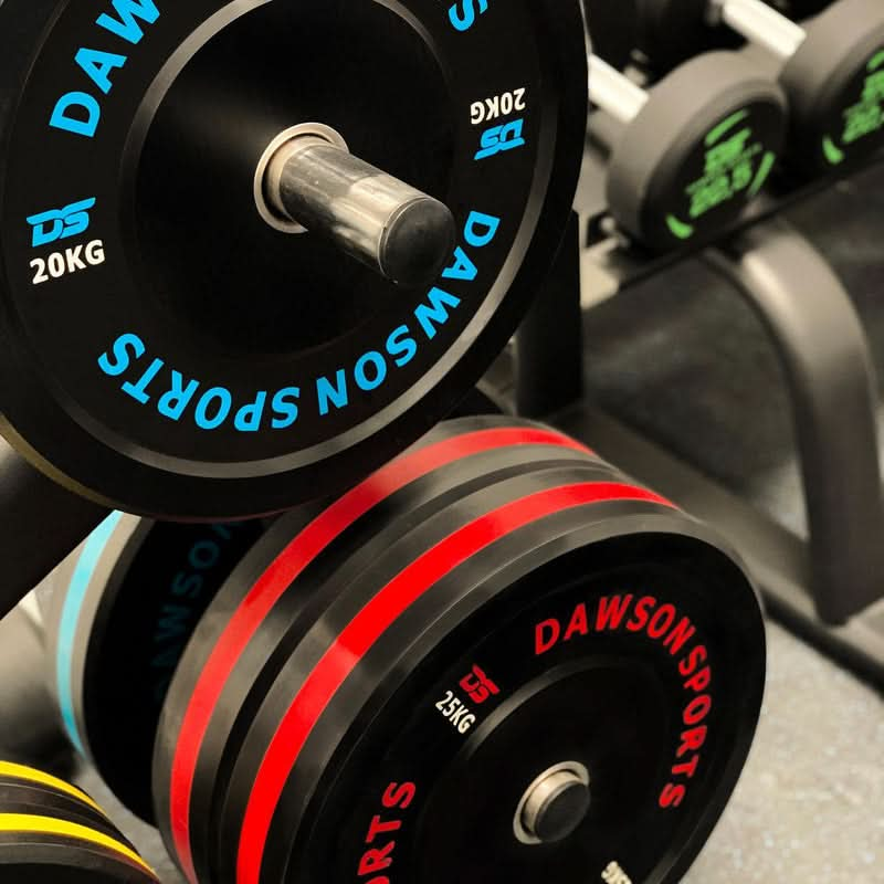 DS Rubber Bumper Plates  (w/ upturned ring) - 10kg