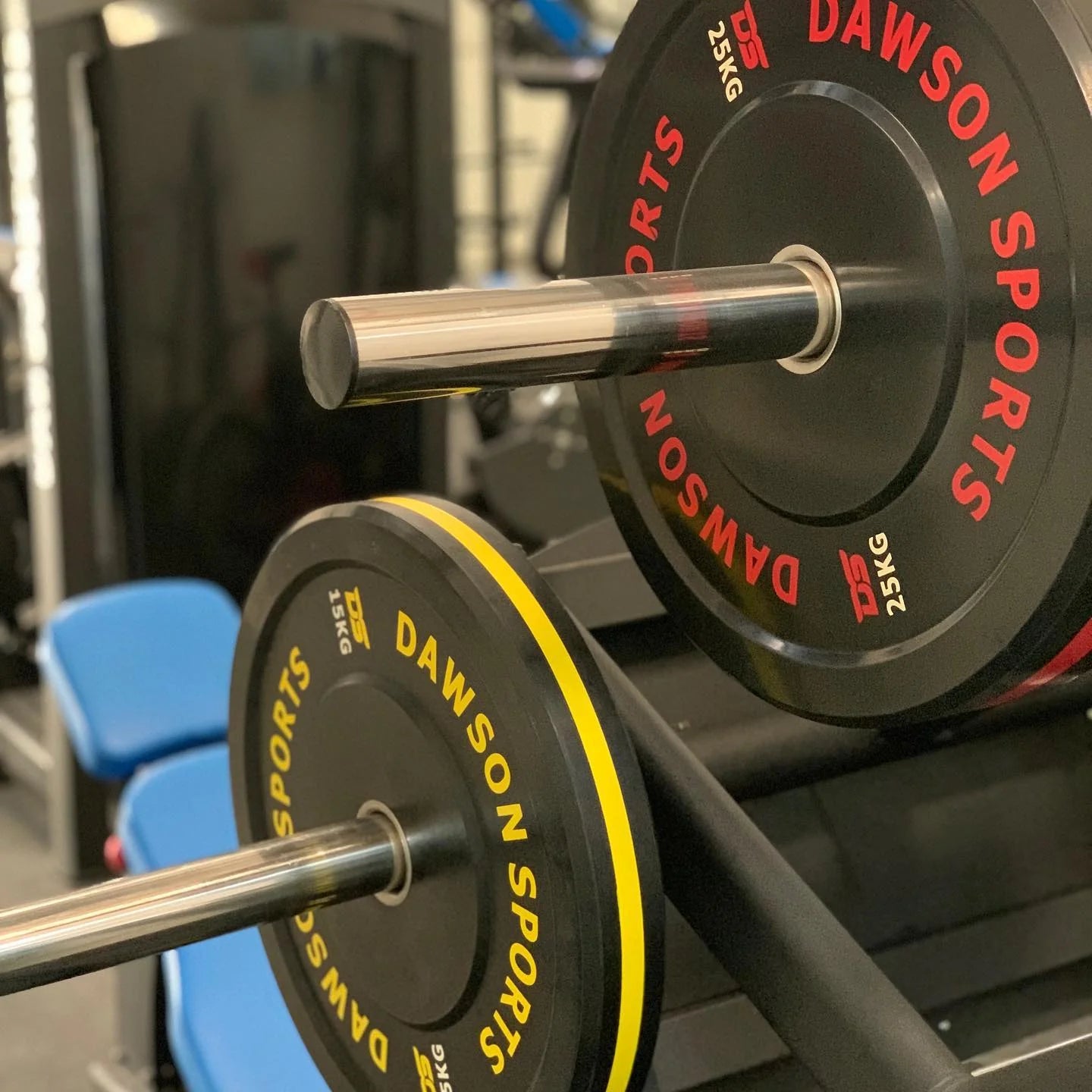 DS Rubber Bumper Plates (w/ upturned ring) - 15kg