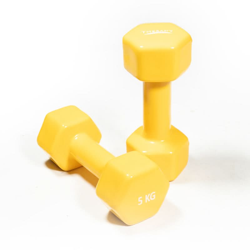 DS Vinyl Dumbbell - 5kg x 2