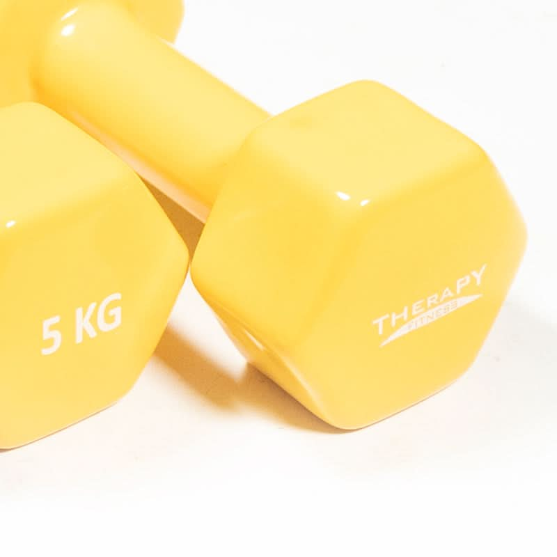 DS Vinyl Dumbbell - 5kg x 2