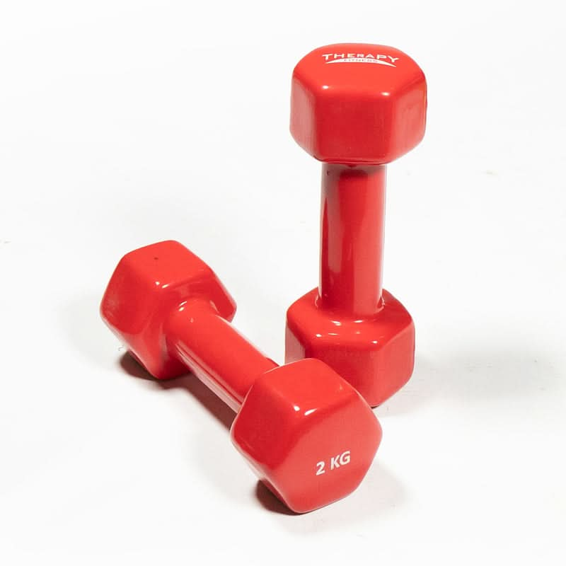 DS Vinyl Dumbbell - 2kg x 2