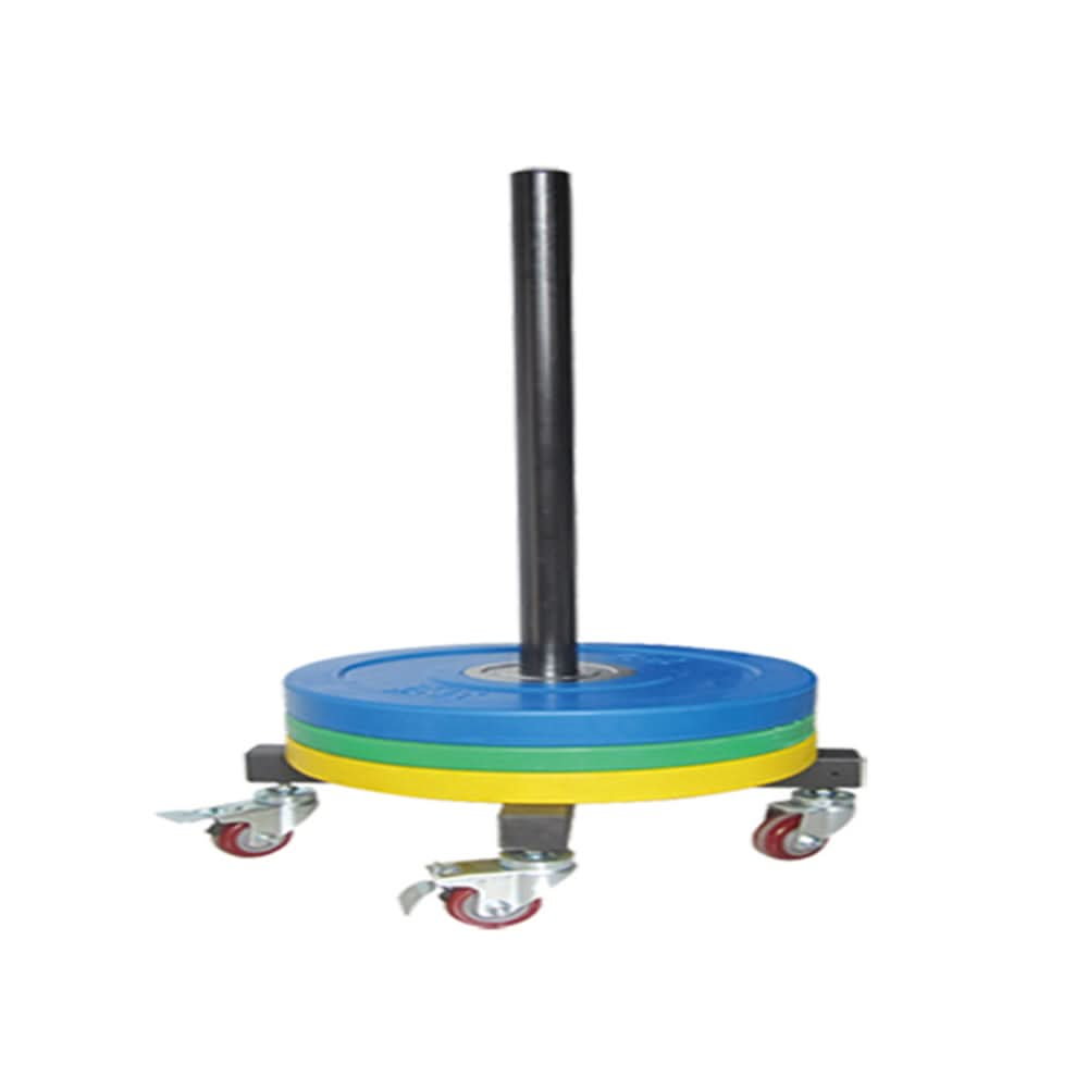 Rack for Bumper Plate storage at home gyms