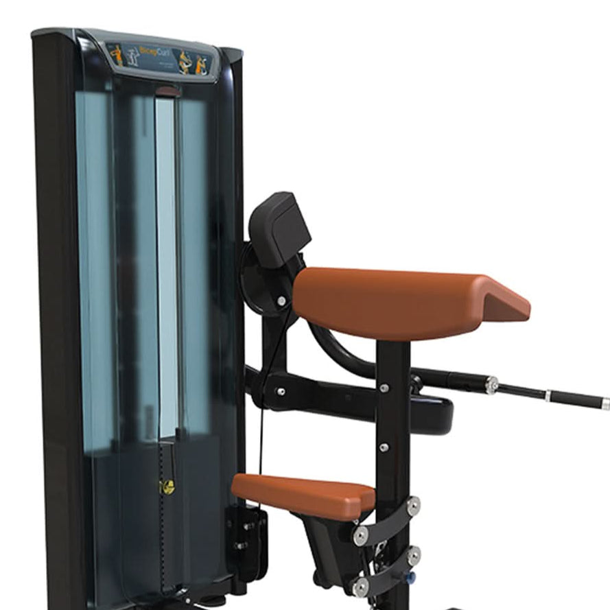 1441 Fitness Seated Bicep Curl Machine - 41FA509