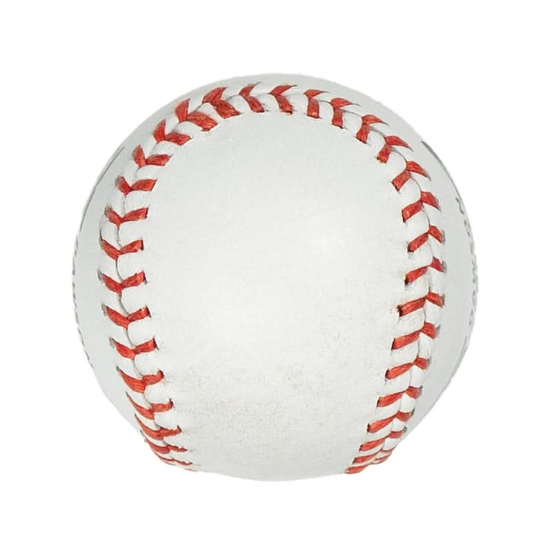 DS Synthetic Trainer Rounders Ball