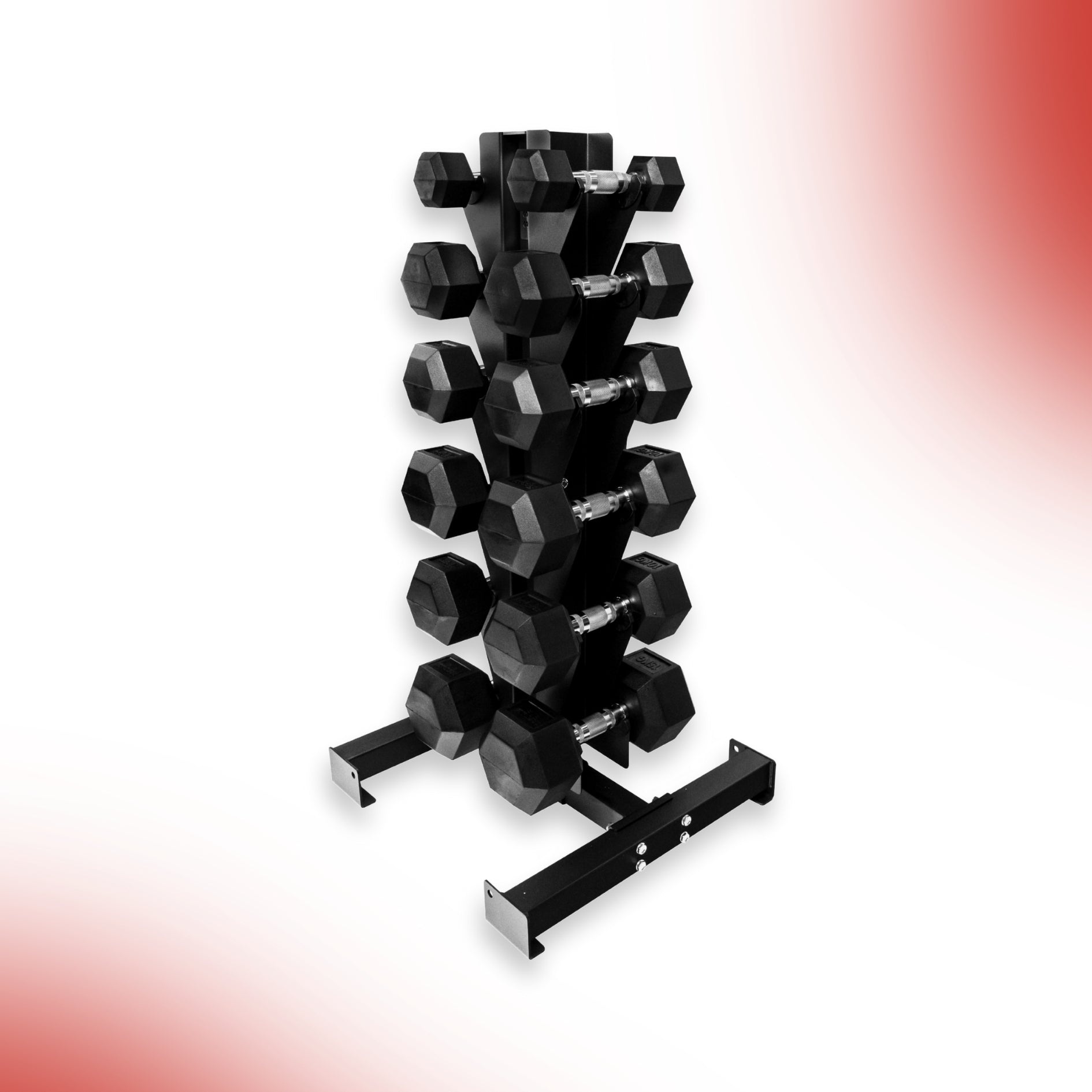 Level Fitness New Vertical 6 Pair Dumbbell Rack