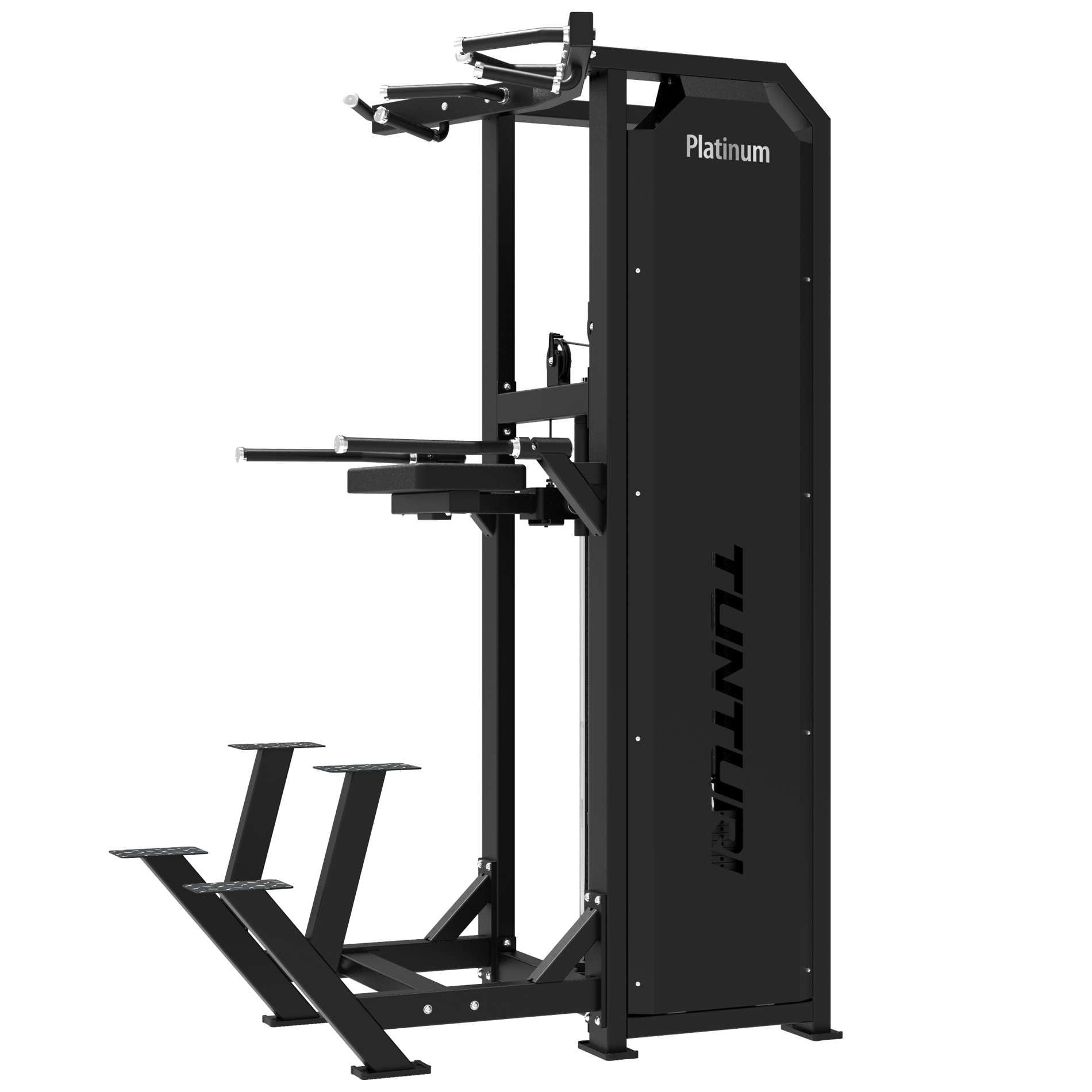 Tunturi Platinum - Dual Assisted Chin Up/Dip - Selectorized - V-series