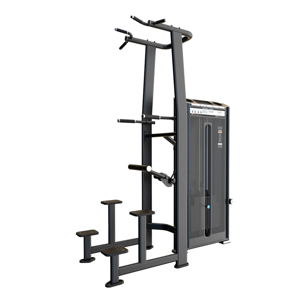 DHZ Fitness Dip Chin Assist - E7009A