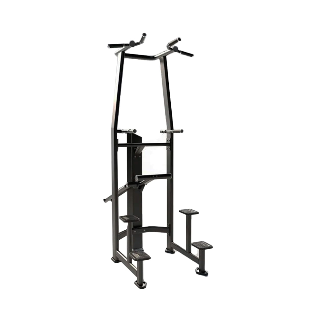 DHZ Fitness Dip Chin Assist - E7009A