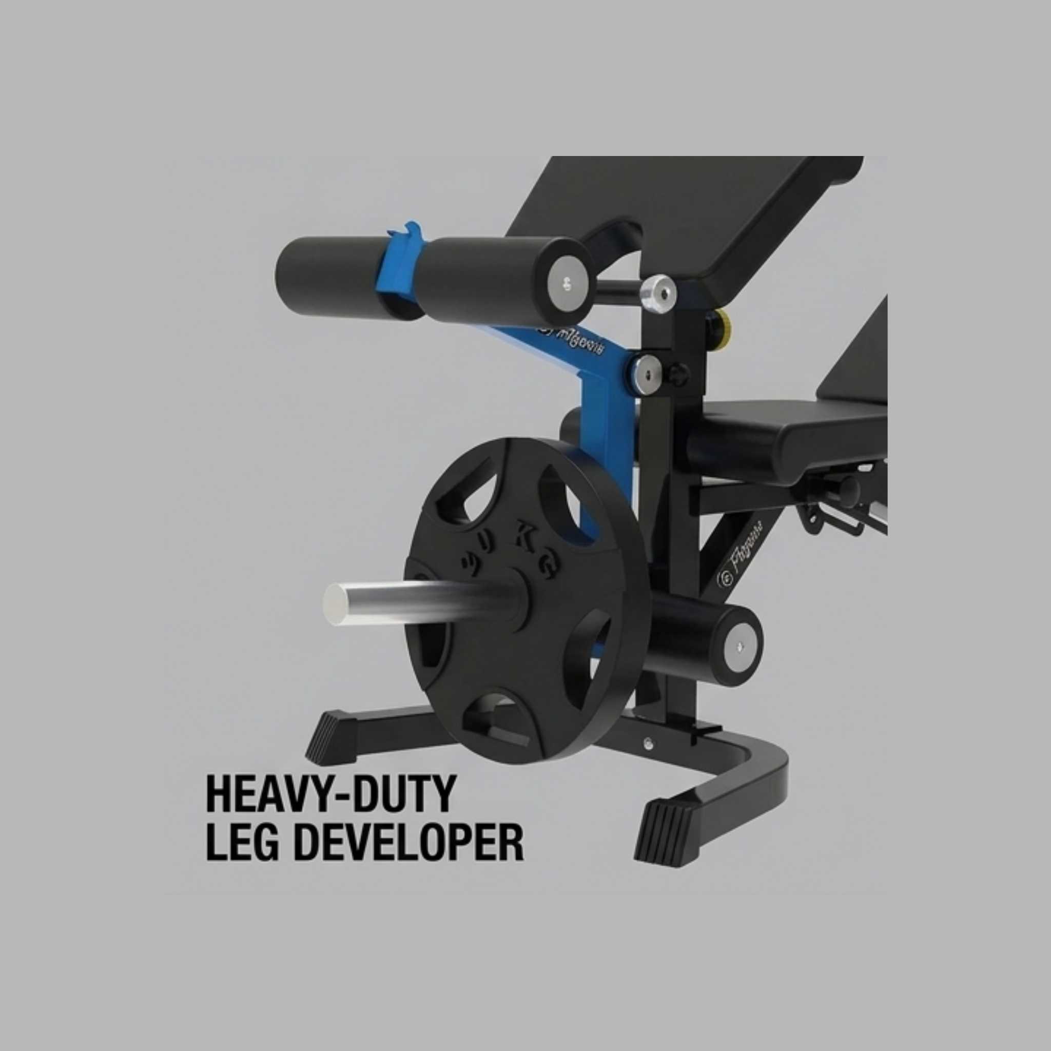 Fitgenix FG6069 Multi-Functional Bench | Adjustable Weight Bench