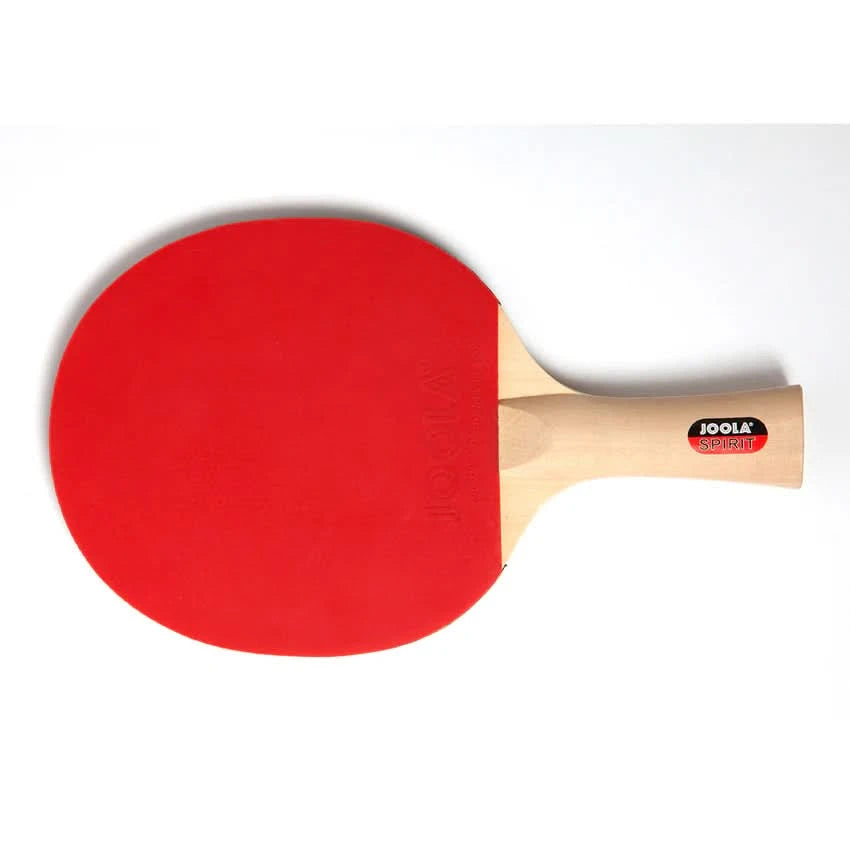 Joola Family Table Tennis Racket Set