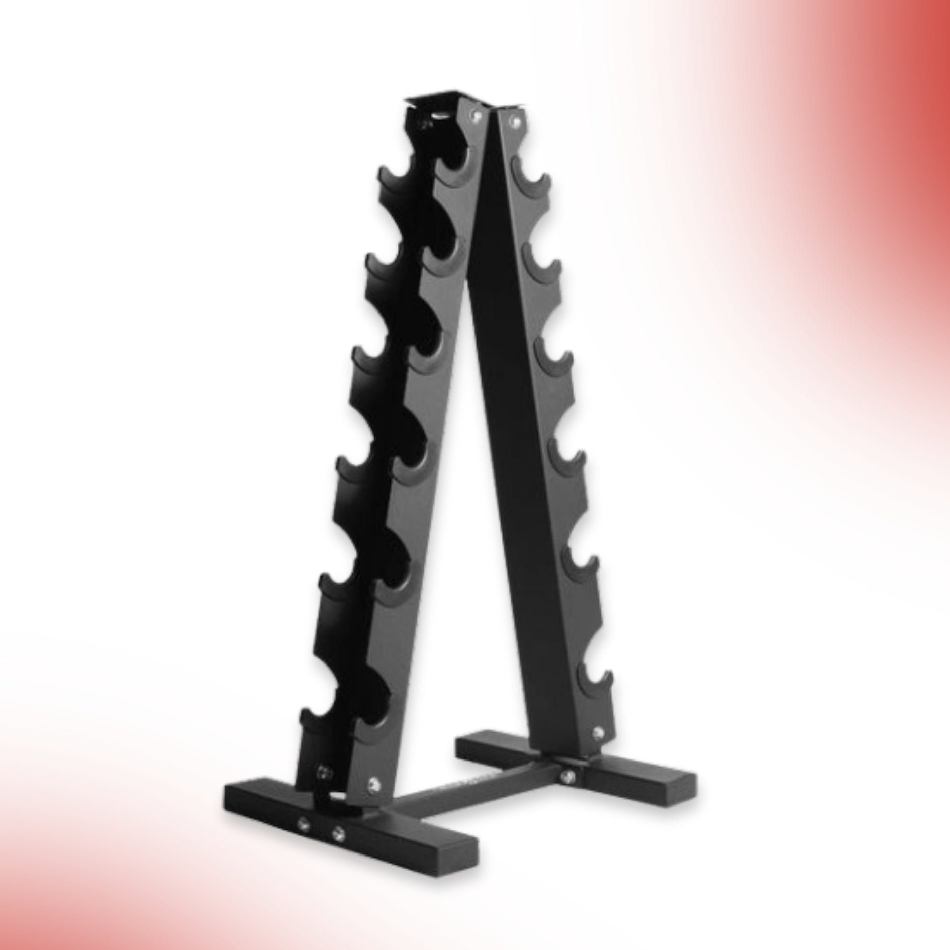 Level Fitness 6 Pair Vertical Dumbbell Rack
