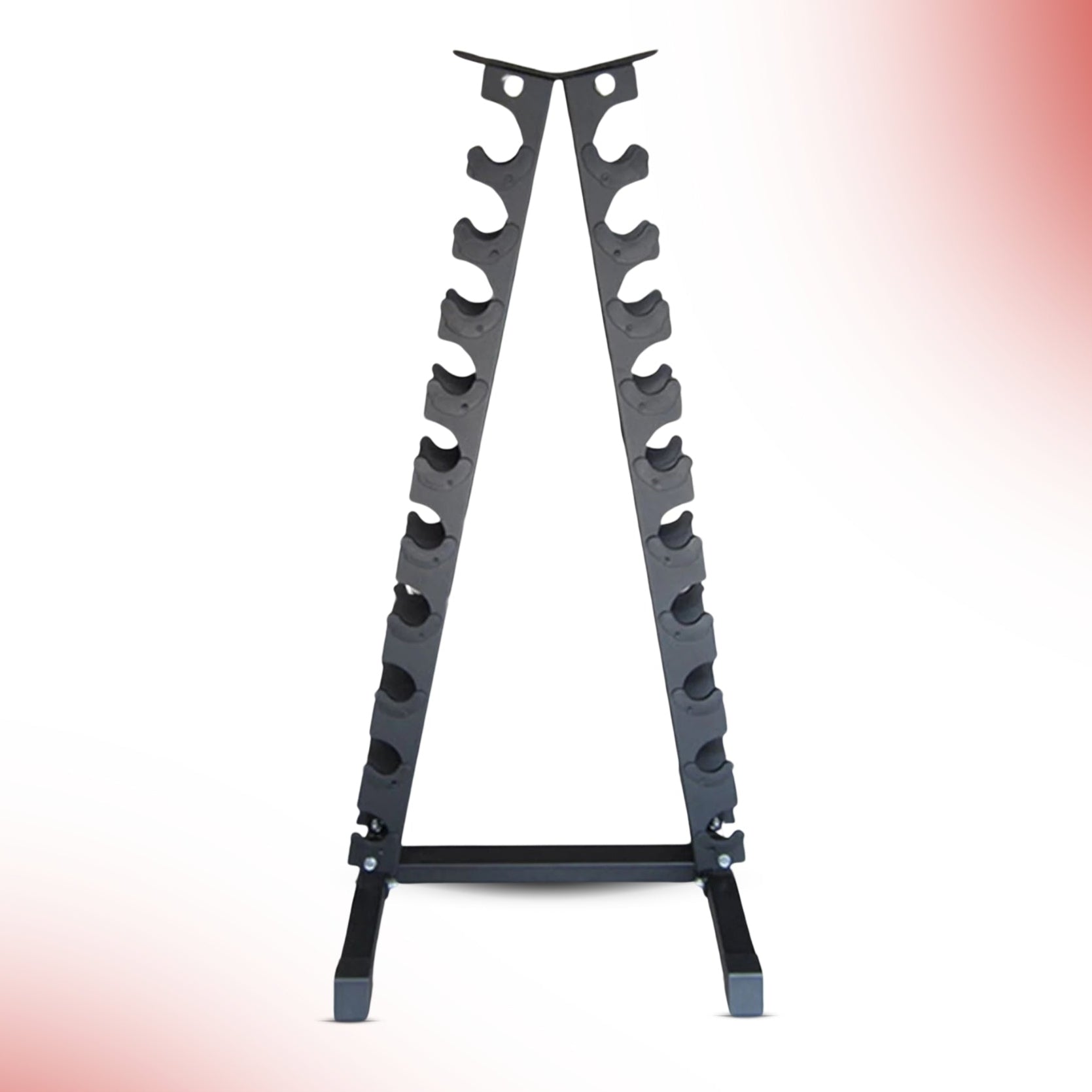 Level Fitness Vertical Dumbbell Rack - 10 Pairs Storage