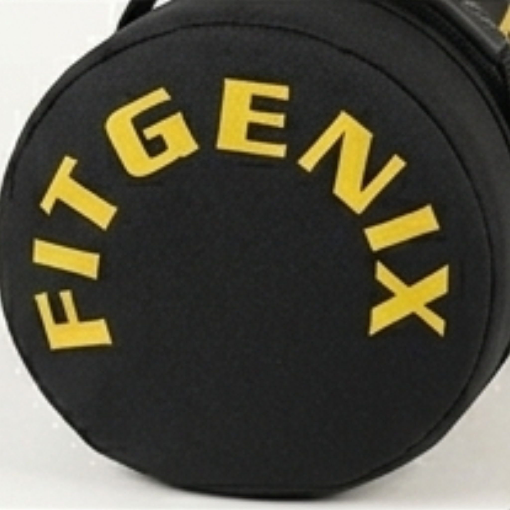 Fitgenix Sand Bag | Functional Training