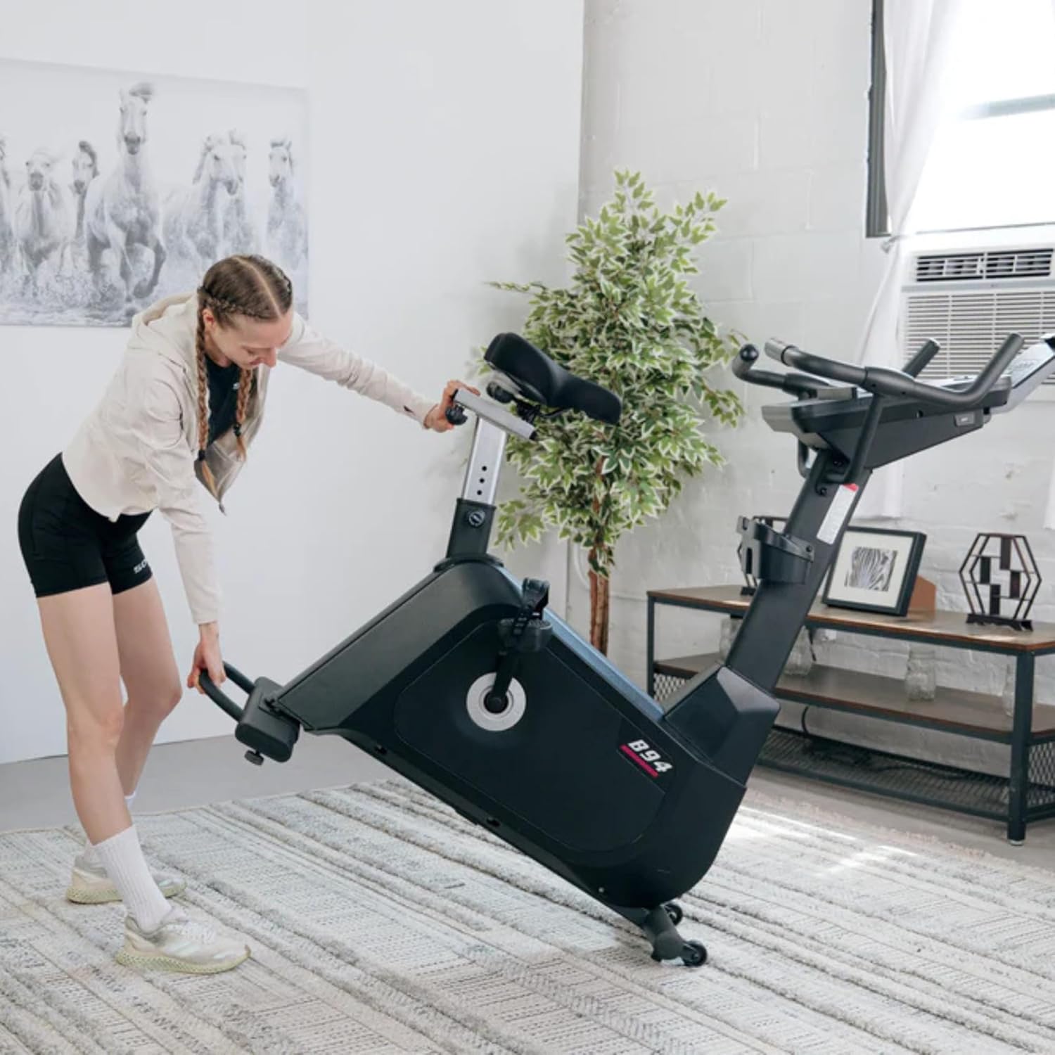 Sole Fitness B94 Home Use Upright Bike