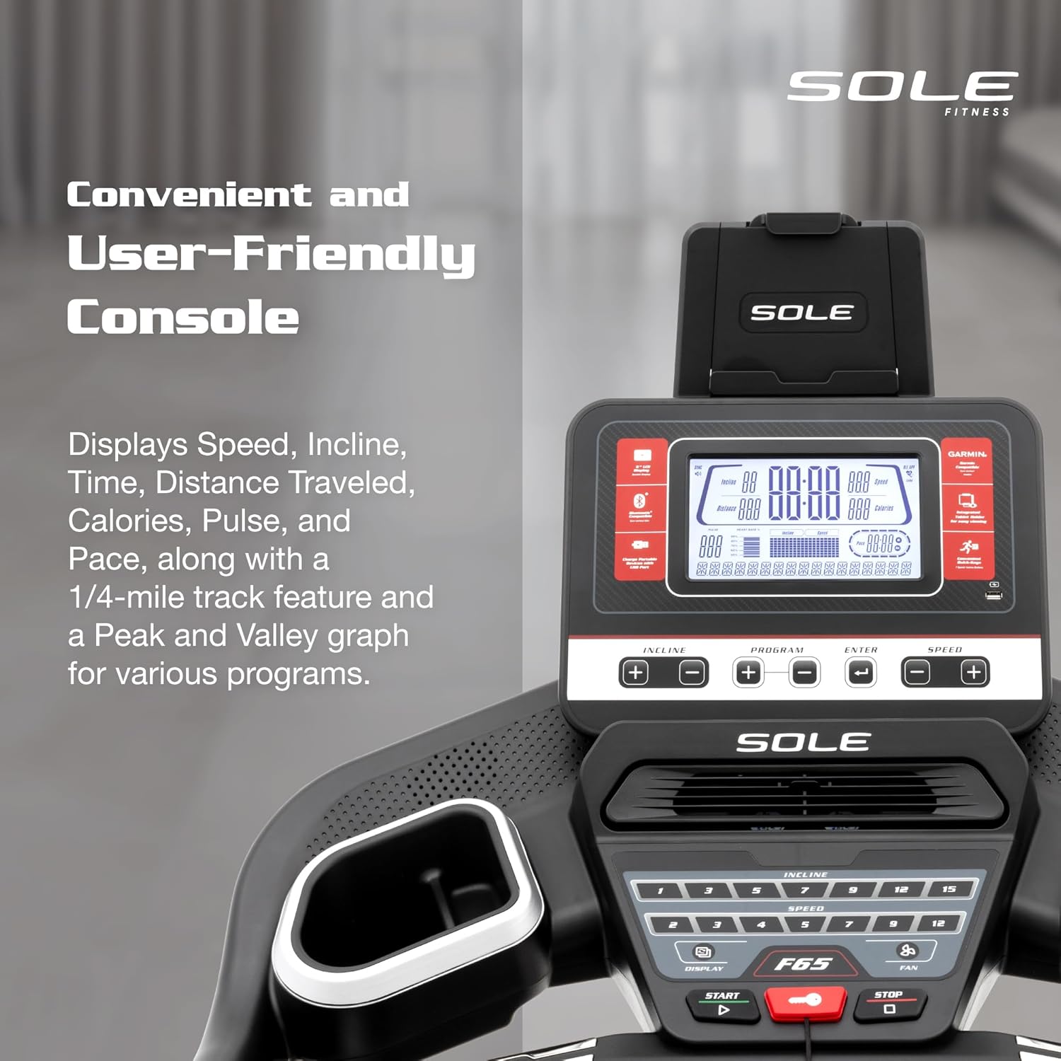 Sole Fitness F65 Treadmill, New Version