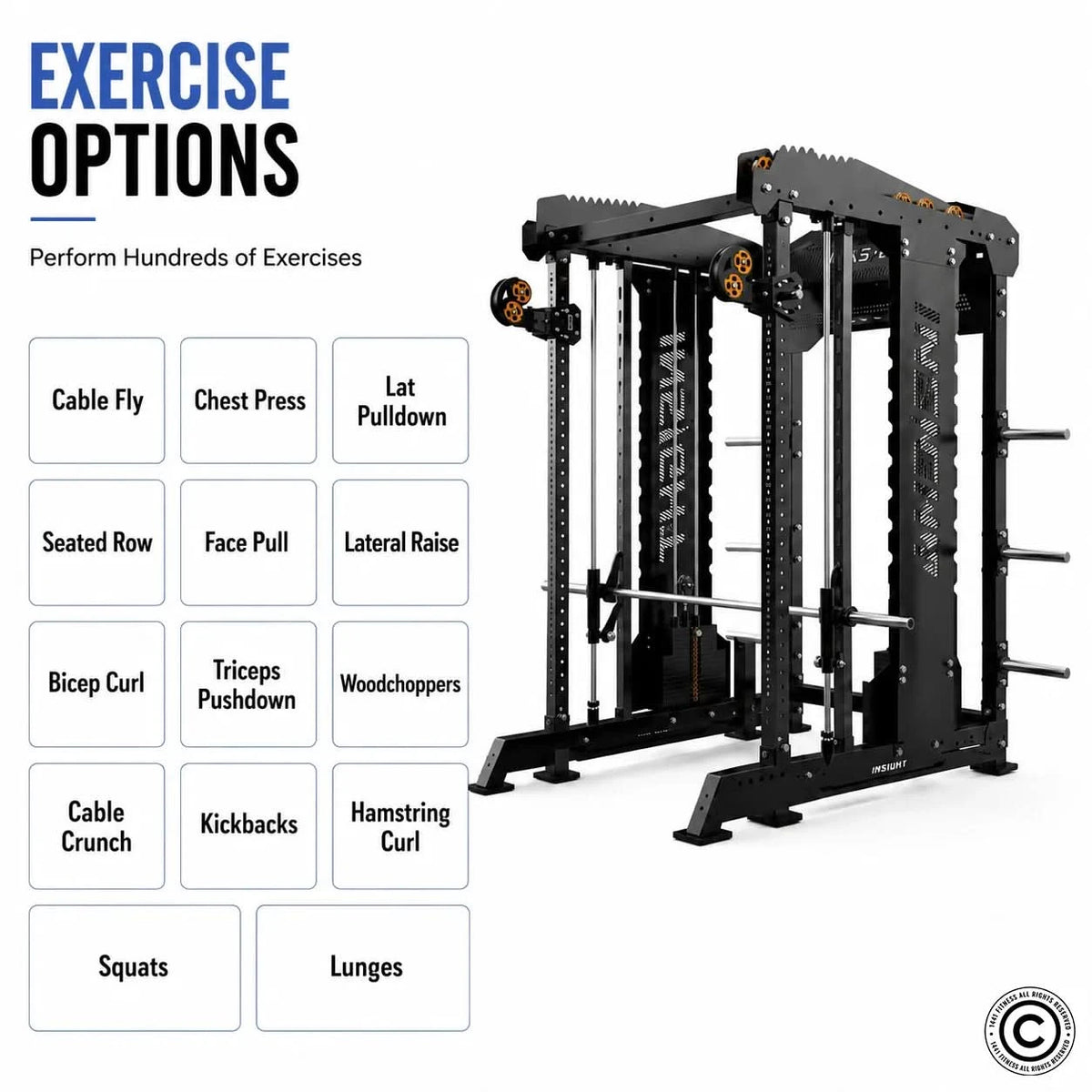 Insight Fitness FT001 Multi Function Machine