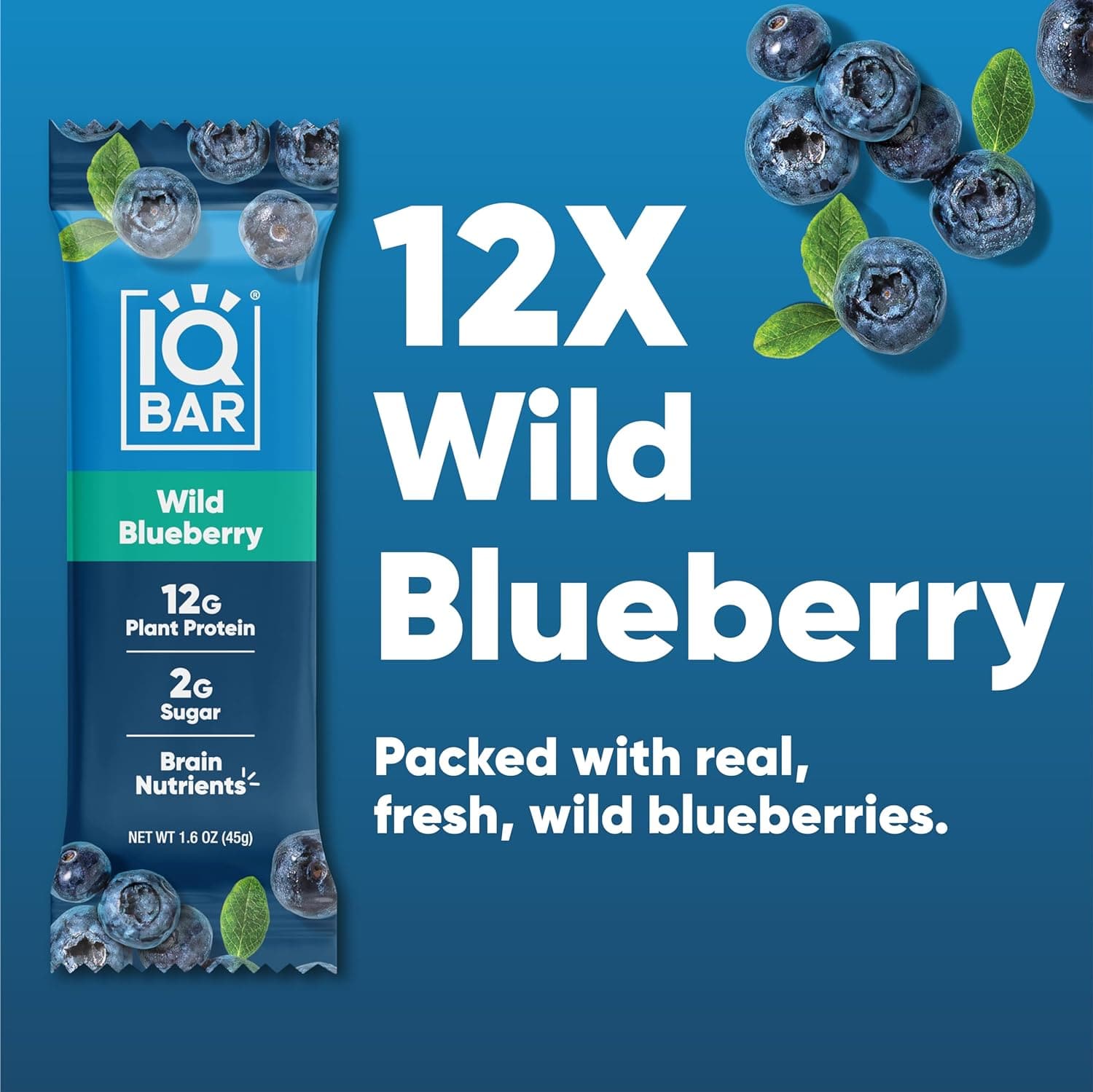 IQ BAR Brain + Body Bars, Wild Blueberry | Keto, Paleo-Friendly, Vegan | 11g Protein, 1g Sugar, 4g Net Carbs | Non-GMO, Gluten-Free, No Sugar Alcohols | 12-Count - Athletix.ae