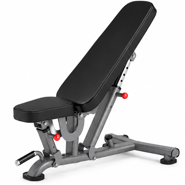 Insight Fitness DR016 Adjustable Bench – Multi-Position Strength Training Bench