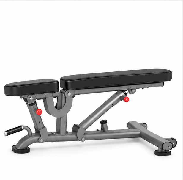 Insight Fitness DR016 Adjustable Bench – Multi-Position Strength Training Bench