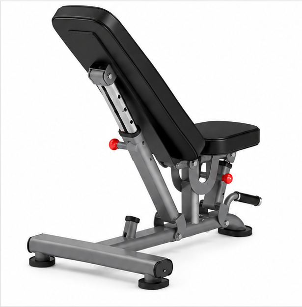 Insight Fitness DR016 Adjustable Bench – Multi-Position Strength Training Bench